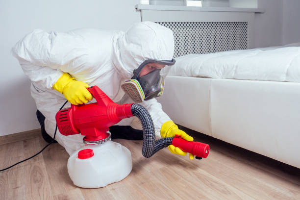 Best Termite Control Services  in Erwin, NC